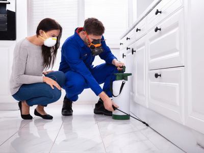 About Roll Pest Extermination Pros - pest extermination experts in Roll
